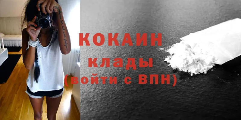 Cocaine FishScale  цена   сайты даркнета Telegram  Остров 